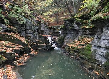 new-york/ithaca/collegetown/attraction/potter-s-falls