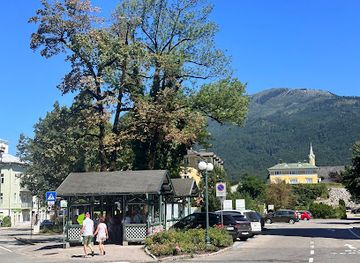 austria/salzkammergut/attraction/nepomuk-brunnen