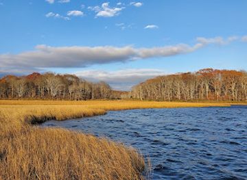 rhode-island/napatree-point-conservation-area/attraction/barn-island-wildlife-management-area