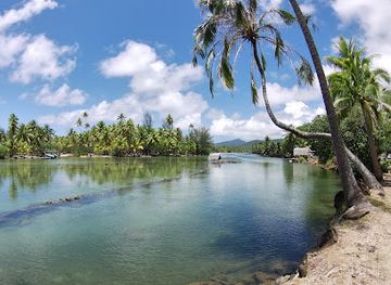 french-polynesia/huahine/attraction/hineoravai-island-tour