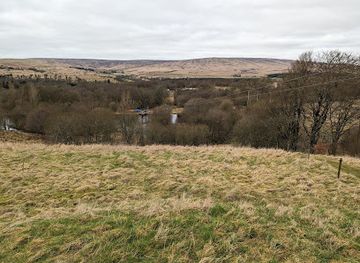 united-kingdom/roxburghshire/attraction/rock-uk-whithaugh-park