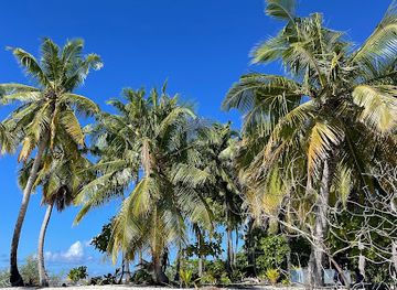 maldives/gaafu-dhaalu-atoll/attraction/ekalonda
