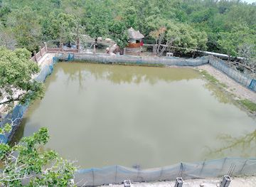 bangladesh/sundarbans-national-park/attraction/kalagasia-watch-tower