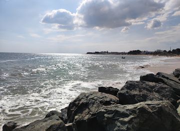 france/vendée-coast/attraction/la-tranche