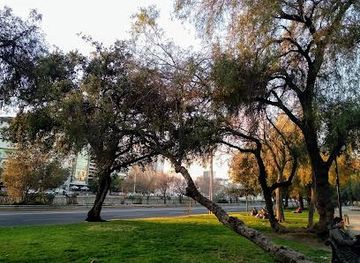 dominican-republic/santiago/attraction/parque-balmaceda