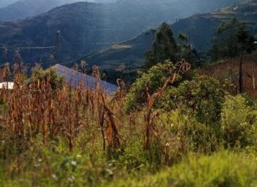 bolivia/la-paz-valley/attraction/chuata-la-paz-bolivia