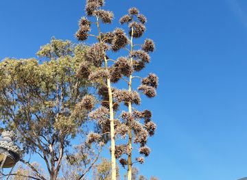 spain/marbella/attraction/cyb