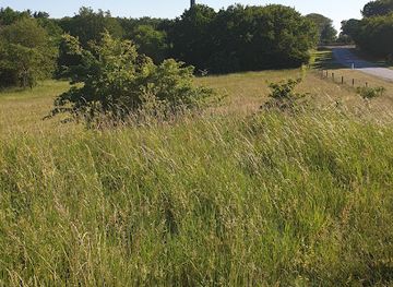 denmark/frederikshavn/attraction/fladbjerg-gravhoj