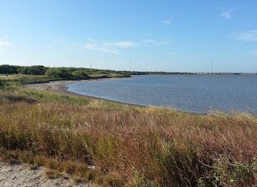 texas/corpus-christi/south-side/attraction/oso-bay-wetlands-preserve