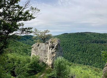 germany/hohenzollern-castle/attraction/torfelsen