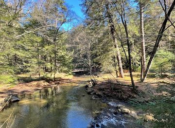 pennsylvania/allegheny-national-forest/attraction/cook-forest-swinging-bridge