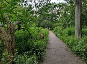 north-carolina/chapel-hill/attraction/coker-arboretum