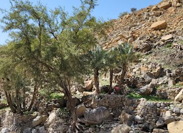 united-arab-emirates/jebel-jais/attraction/dry-oasis