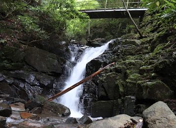 japan/shikoku/attraction/shiraito-falls