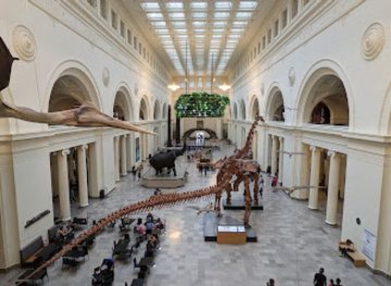 illinois/chicago/attraction/museum-campus