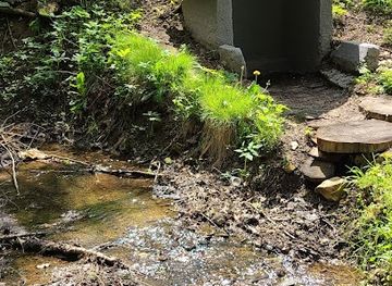 ukraine/skole-beskids/attraction/dzherelo-mineralnoyi-vody-typu-naftusya