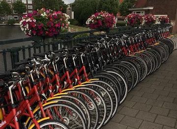 netherlands/amsterdam/attraction/amsterbike