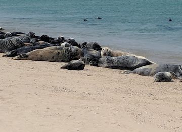 massachusetts/nantucket-county/attraction/nantucket-national-wildlife-refuge