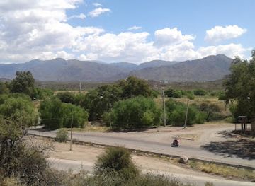 argentina/cuyo/attraction/marly-horses