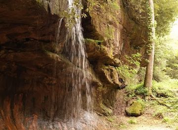 kentucky/daniel-boone-national-forest/attraction/turtle-back-arch
