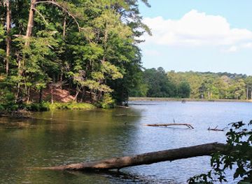 mississippi/south-mississippi/attraction/roosevelt-state-park