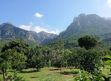 spain/serra-de-tramuntana/attraction/ecovinyassa