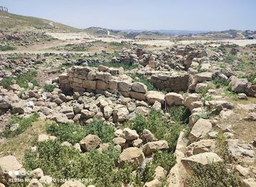 jordan/azraq-wetland-reserve/attraction/jareeba-alqadeemah