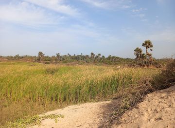 the-gambia/kunta-kinteh-island/attraction/beach