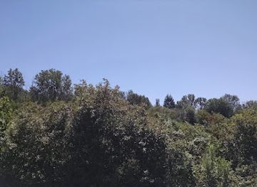 ohio/maumee-valley/attraction/fuller-preserve