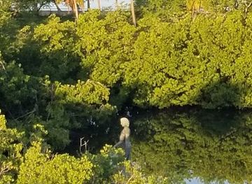 puerto-rico/cabo-rojo/attraction/roberto-cofresi-statue