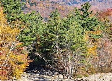 vermont/stowe/attraction/mad-river