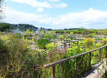 The Water Gardens of Carsac