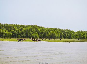 bangladesh/barisal-division/attraction/char-kukri-mukri-beach