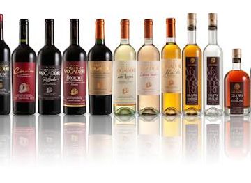 italy/verona/attraction/cantina-fratelli-vogadori-amarone-valpolicella-winery