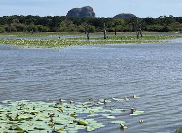 sri-lanka/bundala-national-park/attraction/osha-safari