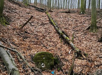 hungary/matra-mountains/attraction/szalamandra-forras