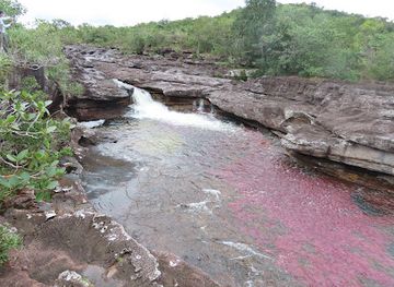 colombia/cano-cristales/attraction/la-macarena-botanical-garden