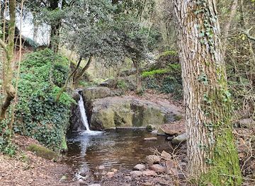 spain/montseny-natural-park/attraction/ruta-dels-arbres-de-vallcarquera