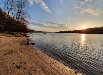 lithuania/kaunas-region/attraction/panemune-pinewood