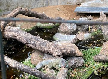 india/mahabalipuram/attraction/crocodile-park