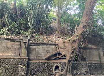indonesia/ubud/attraction/green-tunnel-ubud-main-street