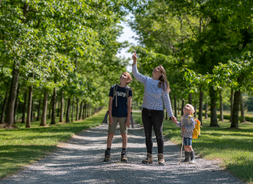 belgium/ardennes/attraction/mes-aventures-d-enchanteur