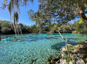 florida/ocala-national-forest/attraction/silver-glen-springs-recreation-area
