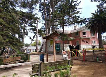 california/carmel-by-the-sea/attraction/monarch-butterfly-sanctuary