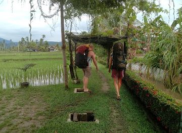 indonesia/bukit-lawang/attraction/kampong-wisata-landbouw
