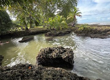costa-rica/cahuita-national-park/attraction/natural-pools