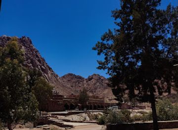 egypt/mount-sinai/attraction/ain-eltofaha