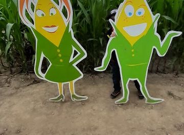 france/saint-malo/attraction/pop-corn-labyrinthe