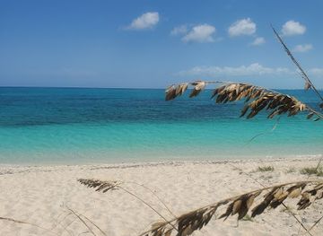 turks-and-caicos-islands/west-caicos/attraction/great-snorkeling