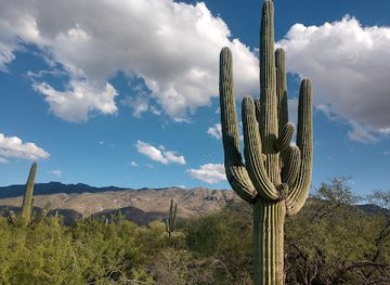 arizona/pima-county/attraction/saguaro-national-park